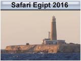 Safari Top Północy - Egipt